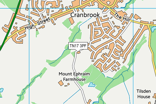 TN17 3PF map - OS VectorMap District (Ordnance Survey)