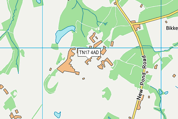 TN17 4AD map - OS VectorMap District (Ordnance Survey)