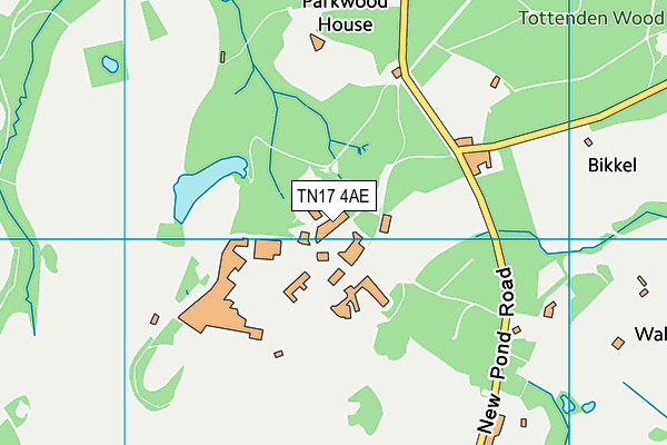 TN17 4AE map - OS VectorMap District (Ordnance Survey)