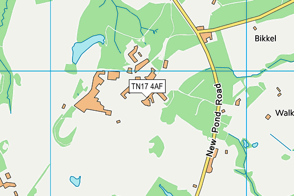 TN17 4AF map - OS VectorMap District (Ordnance Survey)