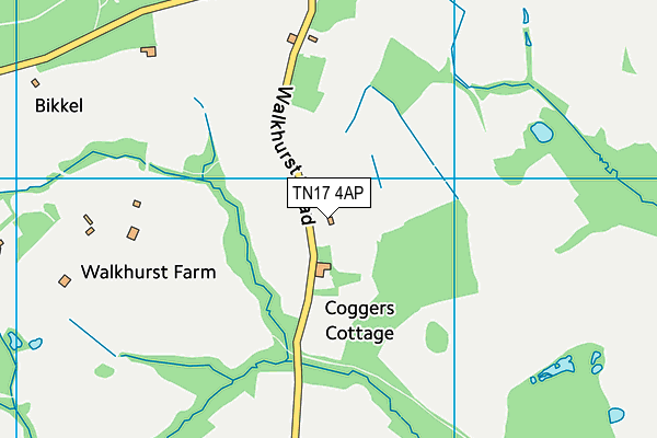 TN17 4AP map - OS VectorMap District (Ordnance Survey)