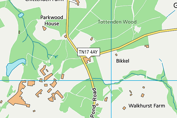 TN17 4AY map - OS VectorMap District (Ordnance Survey)