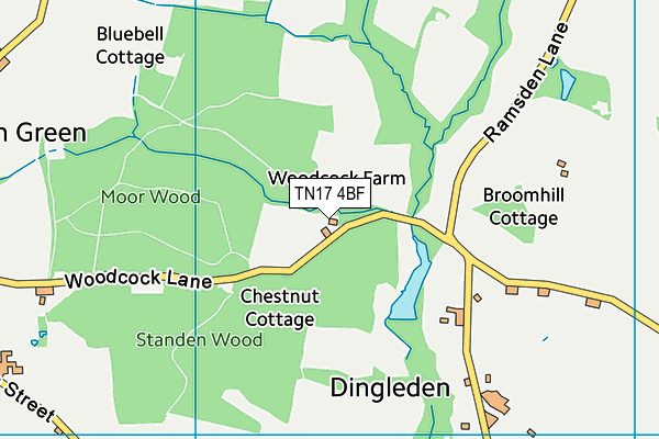 TN17 4BF map - OS VectorMap District (Ordnance Survey)