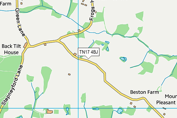 TN17 4BJ map - OS VectorMap District (Ordnance Survey)