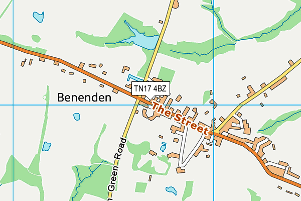 TN17 4BZ map - OS VectorMap District (Ordnance Survey)