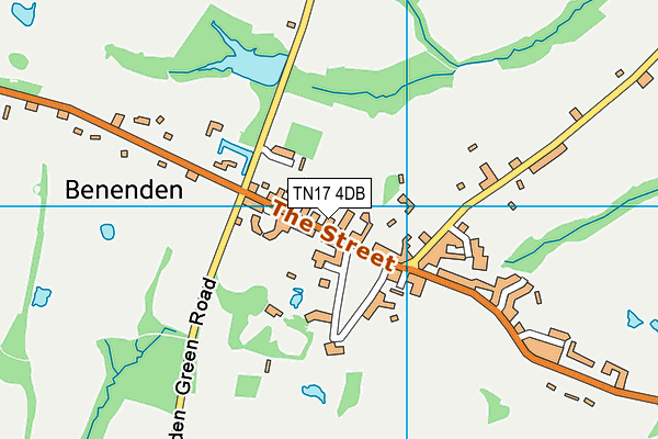 TN17 4DB map - OS VectorMap District (Ordnance Survey)