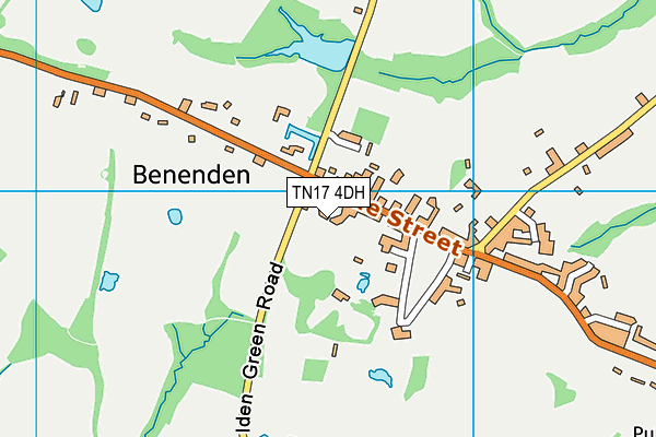 TN17 4DH map - OS VectorMap District (Ordnance Survey)