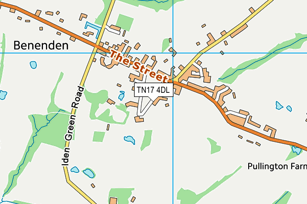 Benenden Village Green map (TN17 4DL) - OS VectorMap District (Ordnance Survey)