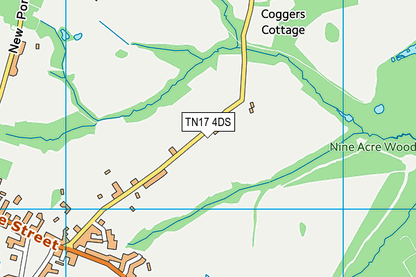 TN17 4DS map - OS VectorMap District (Ordnance Survey)