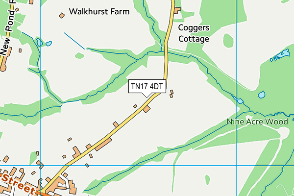 TN17 4DT map - OS VectorMap District (Ordnance Survey)