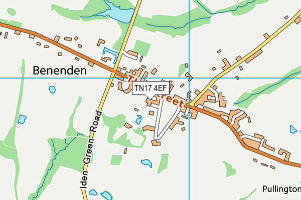 TN17 4EF map - OS VectorMap District (Ordnance Survey)