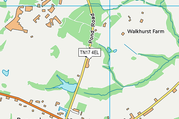 TN17 4EL map - OS VectorMap District (Ordnance Survey)