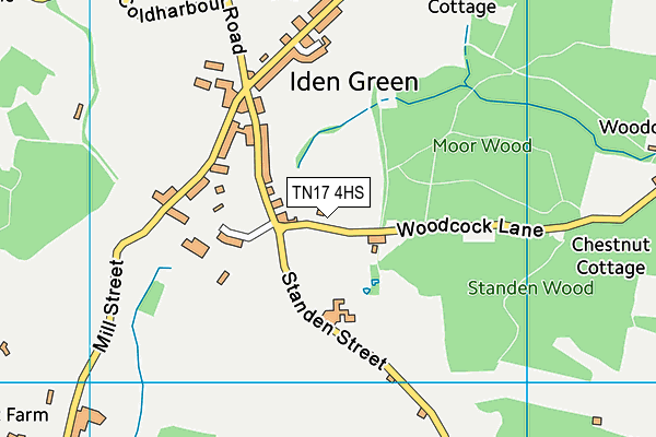 TN17 4HS map - OS VectorMap District (Ordnance Survey)