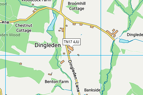 TN17 4JU map - OS VectorMap District (Ordnance Survey)