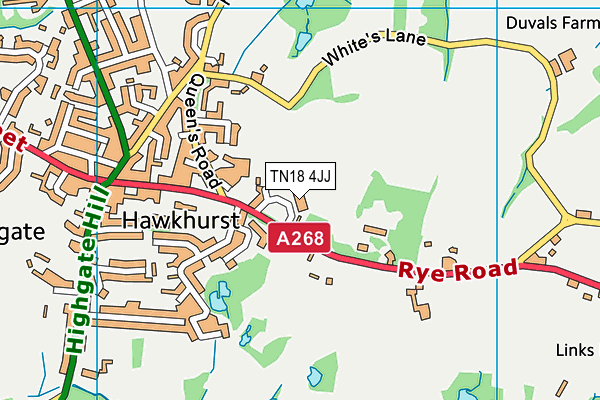 Hawkhurst Church of England Primary School map (TN18 4JJ) - OS VectorMap District (Ordnance Survey)