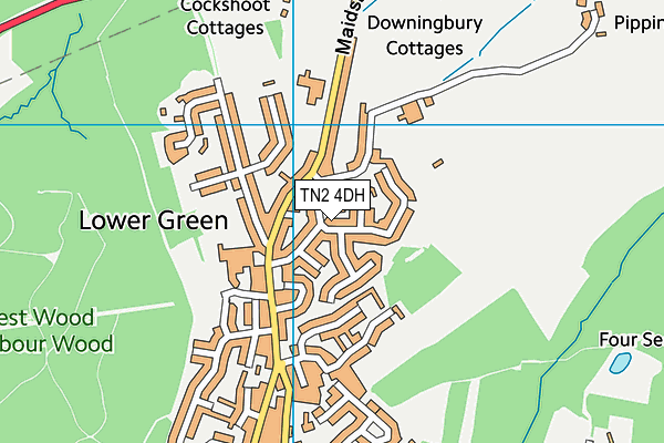 TN2 4DH map - OS VectorMap District (Ordnance Survey)