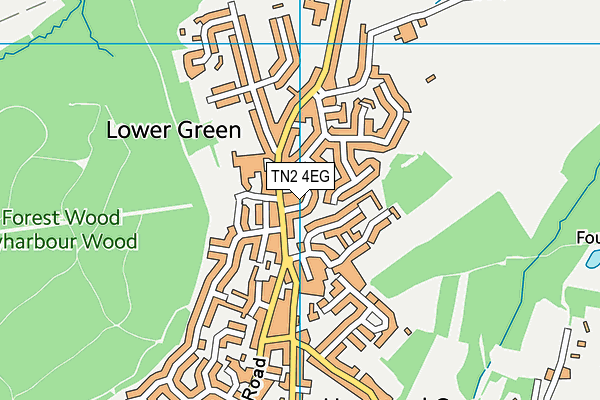 TN2 4EG map - OS VectorMap District (Ordnance Survey)
