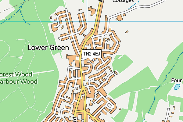TN2 4EJ map - OS VectorMap District (Ordnance Survey)