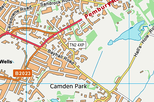 TN2 4XP map - OS VectorMap District (Ordnance Survey)