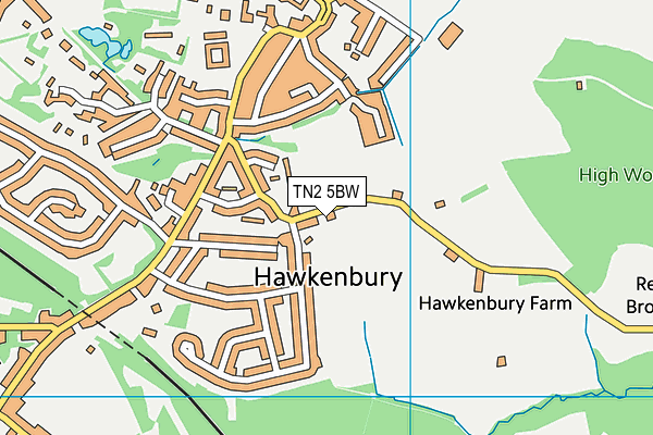 Hawkenbury Recreation Ground map (TN2 5BW) - OS VectorMap District (Ordnance Survey)