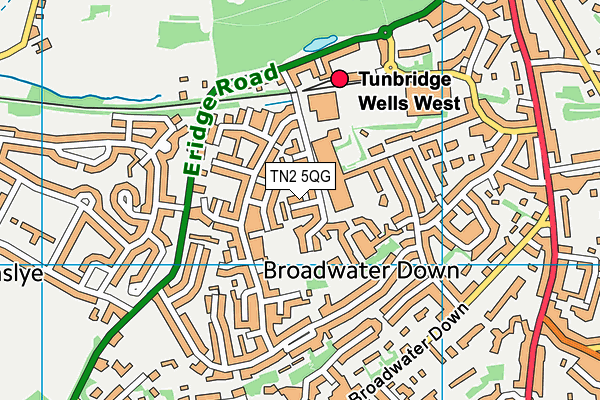 TN2 5QG map - OS VectorMap District (Ordnance Survey)