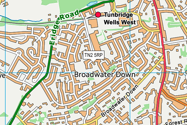 Broadwater Down Primary School map (TN2 5RP) - OS VectorMap District (Ordnance Survey)