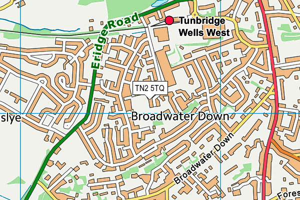 TN2 5TQ map - OS VectorMap District (Ordnance Survey)