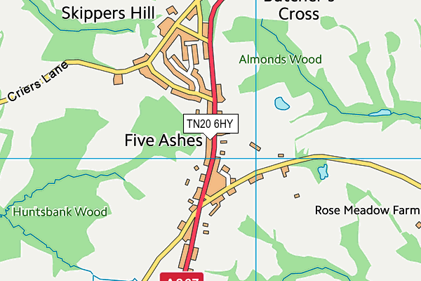 Five Ashes CofE Primary School map (TN20 6HY) - OS VectorMap District (Ordnance Survey)
