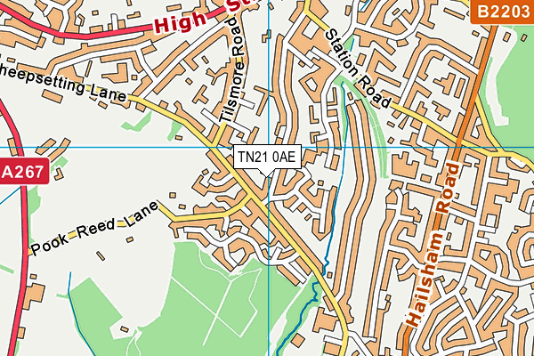 TN21 0AE map - OS VectorMap District (Ordnance Survey)