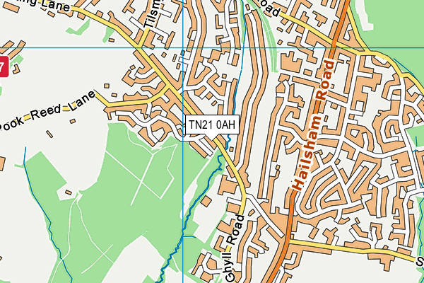 TN21 0AH map - OS VectorMap District (Ordnance Survey)