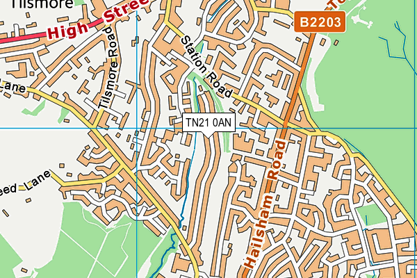 TN21 0AN map - OS VectorMap District (Ordnance Survey)