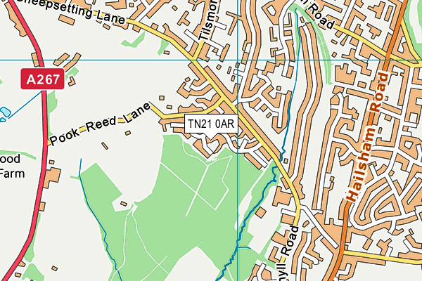 TN21 0AR map - OS VectorMap District (Ordnance Survey)