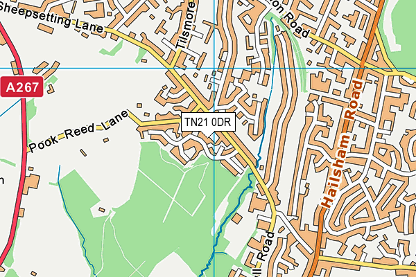 TN21 0DR map - OS VectorMap District (Ordnance Survey)
