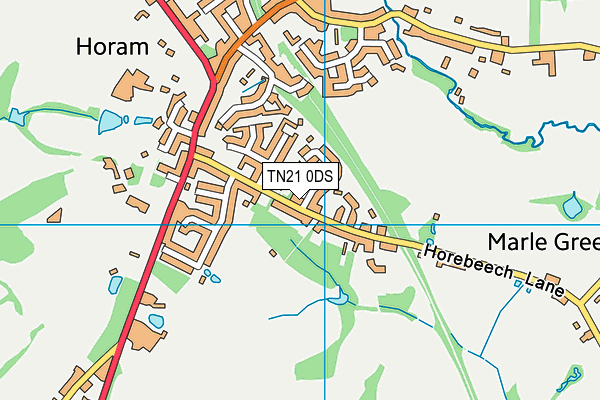 TN21 0DS map - OS VectorMap District (Ordnance Survey)