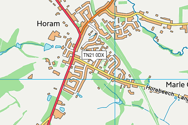 TN21 0DX map - OS VectorMap District (Ordnance Survey)