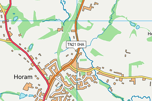 TN21 0HA map - OS VectorMap District (Ordnance Survey)