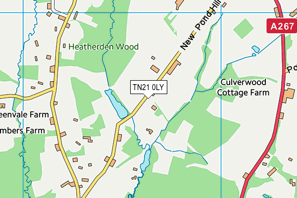 TN21 0LY map - OS VectorMap District (Ordnance Survey)