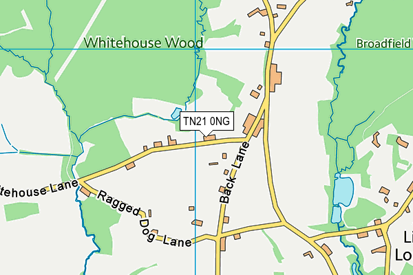 TN21 0NG map - OS VectorMap District (Ordnance Survey)