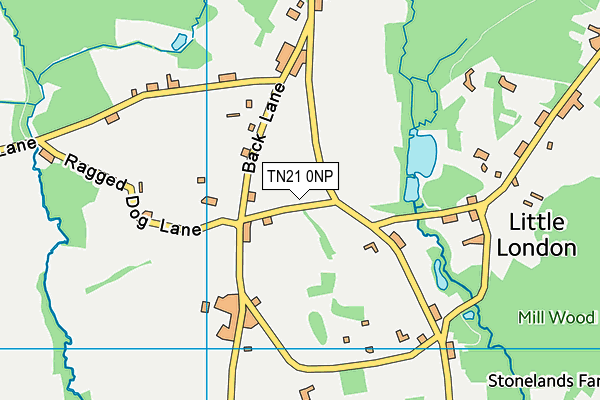 TN21 0NP map - OS VectorMap District (Ordnance Survey)