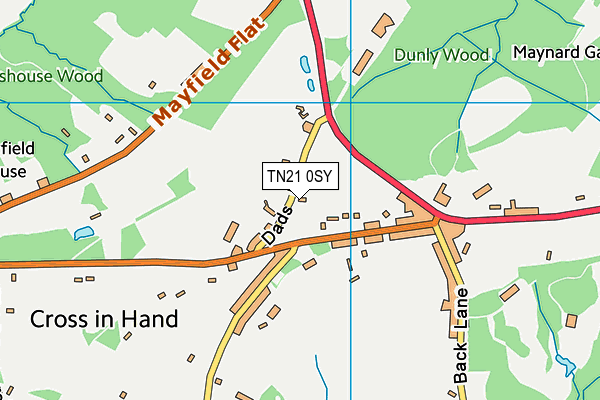 TN21 0SY map - OS VectorMap District (Ordnance Survey)