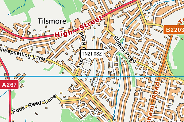 TN21 0SZ map - OS VectorMap District (Ordnance Survey)