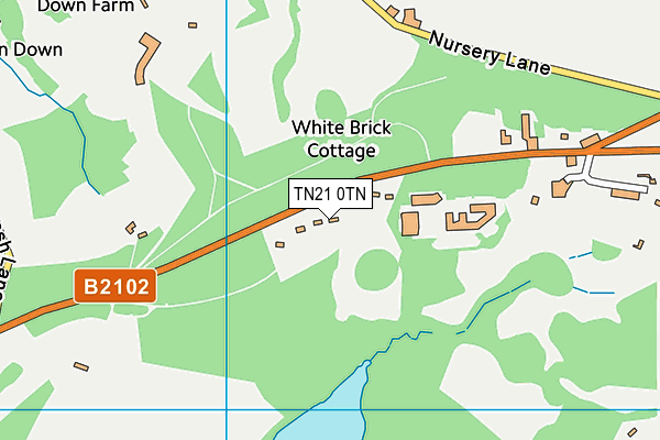TN21 0TN map - OS VectorMap District (Ordnance Survey)