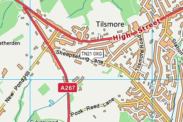 Cross-in-Hand Church of England Primary School map (TN21 0XG) - OS VectorMap District (Ordnance Survey)
