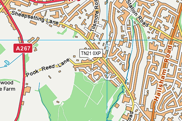 TN21 0XP map - OS VectorMap District (Ordnance Survey)