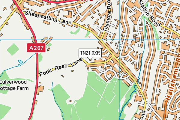 TN21 0XR map - OS VectorMap District (Ordnance Survey)