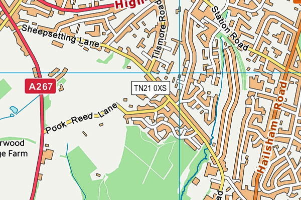 TN21 0XS map - OS VectorMap District (Ordnance Survey)