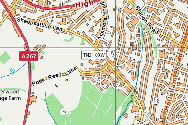 TN21 0XW map - OS VectorMap District (Ordnance Survey)