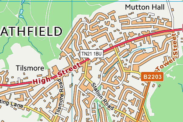 TN21 1BU map - OS VectorMap District (Ordnance Survey)