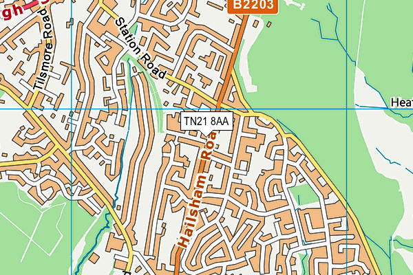 TN21 8AA map - OS VectorMap District (Ordnance Survey)