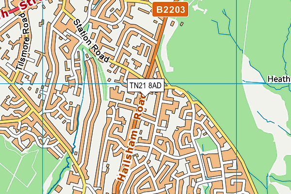 TN21 8AD map - OS VectorMap District (Ordnance Survey)